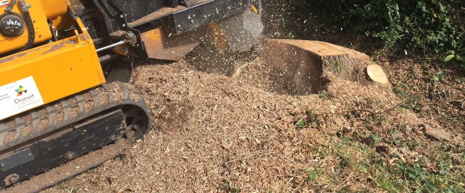 Why Stump Removal Matters Before Starting a Home Remodel in Oregon