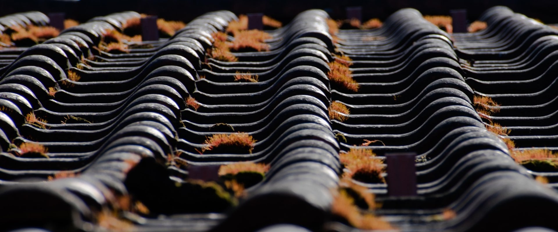 Enhance Your Home Remodel with a Sarasota Roofing Expert