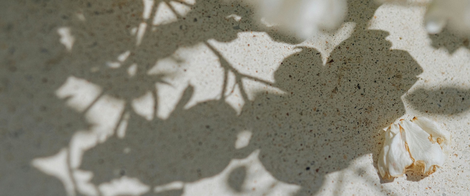 Transform Your Home with Better Builders in Seattle