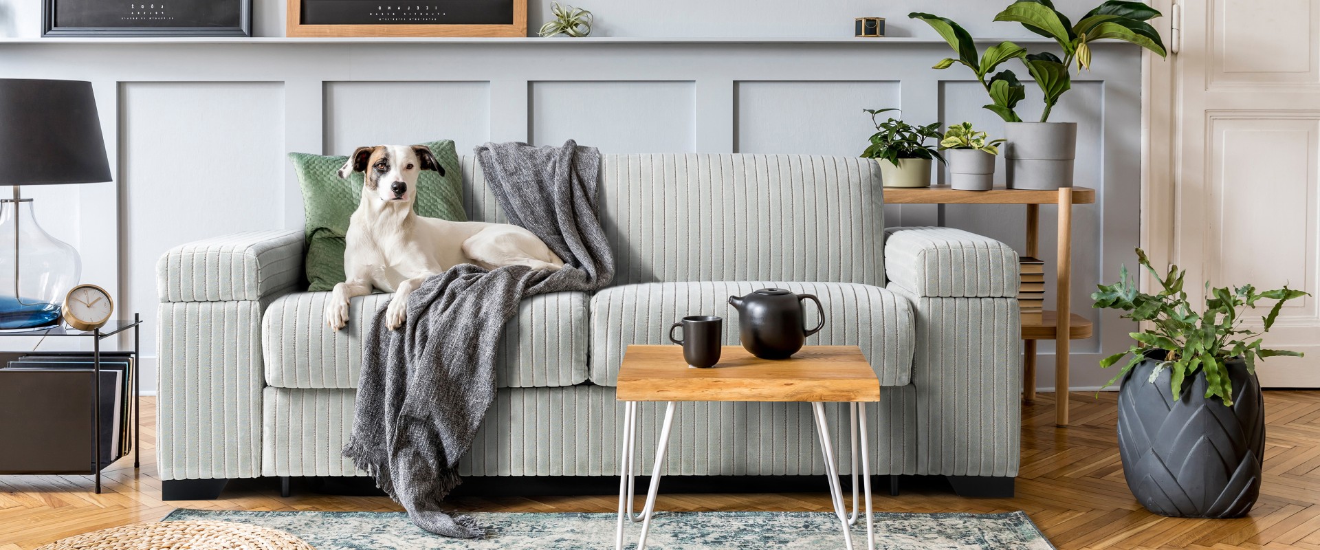 Reviving Your Space: A Fresh Look at Modern Home Remodeling