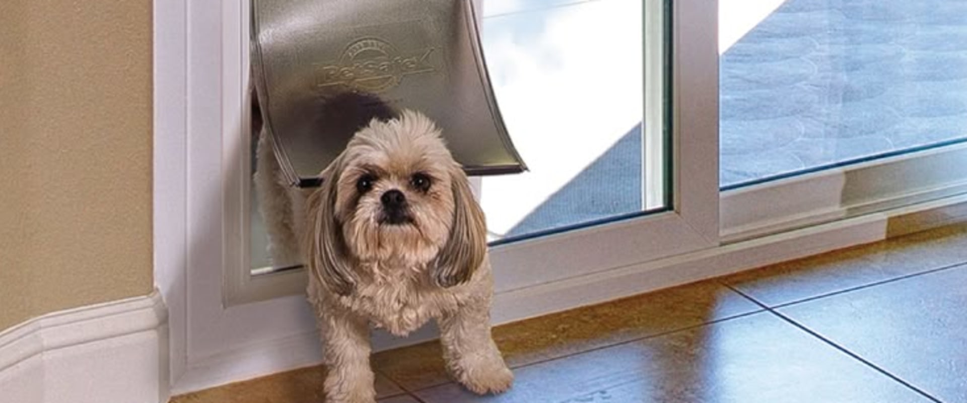 Enhance Your Home with Pet Door Installation by HomeStar in Salt Lake County