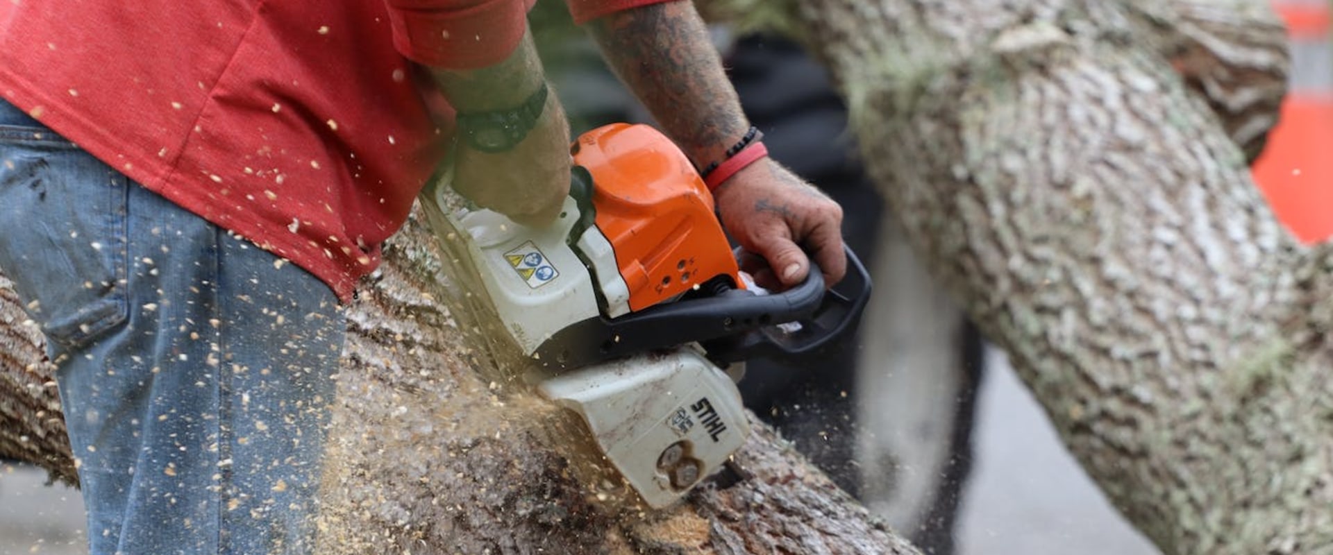 Landscape Makeover: The Role Of Tree Service In Scottsdale Home Renovations