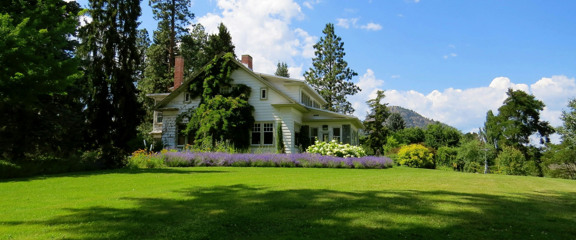 From Foundation To Foliage: How Landscaping Companies Complete Your Damascus Home Remodel