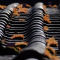 Enhance Your Home Remodel with a Sarasota Roofing Expert