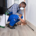 Prevent Pests From Ruining Your Home Remodel Project With The Help Of An Expert Exterminator In Las Vegas