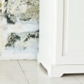 The Importance Of Mold Testing Before Starting Your Home Remodeling Project In Charleston