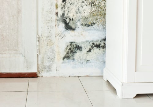 The Importance Of Mold Testing Before Starting Your Home Remodeling Project In Charleston