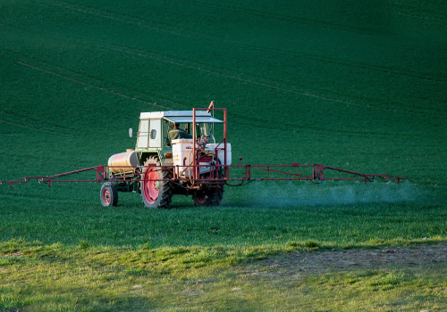 Protect Your Home Remodel from Pests in Massachusetts