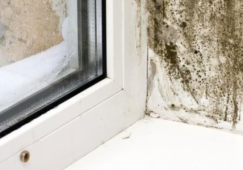 Breathing Easy: The Crucial Role Of Mold Removal In Boise Home Remodels